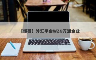 【懂哥】外汇平台WZG万洲金业
