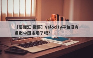 【要懂汇 懂哥】Velocity平台没有退出中国市场了吧？
