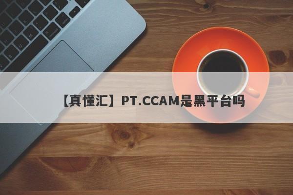 【真懂汇】PT.CCAM是黑平台吗
-第1张图片-要懂汇圈网