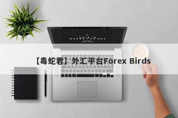 【毒蛇君】外汇平台Forex Birds
-第1张图片-要懂汇圈网